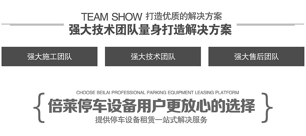 重庆倍莱强大技术团队量身打造解决方案.jpg